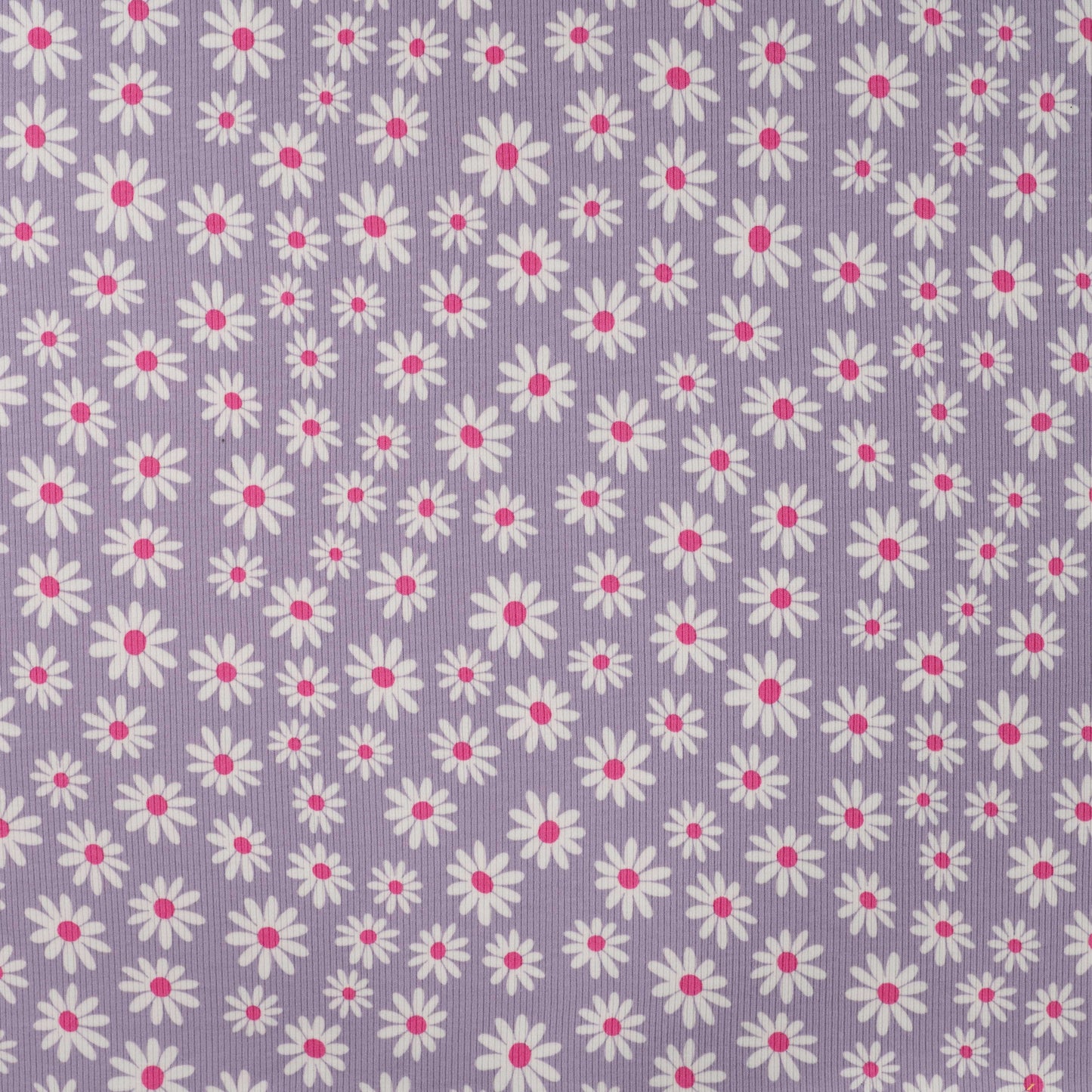 Ribtricot jersey stof lila met witte madeliefjes.